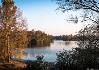 Le lac de Miribel revets ses couleurs d’automne