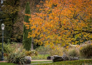Le Parc de la Tête d’Or s’habille de ses couleurs d’automne