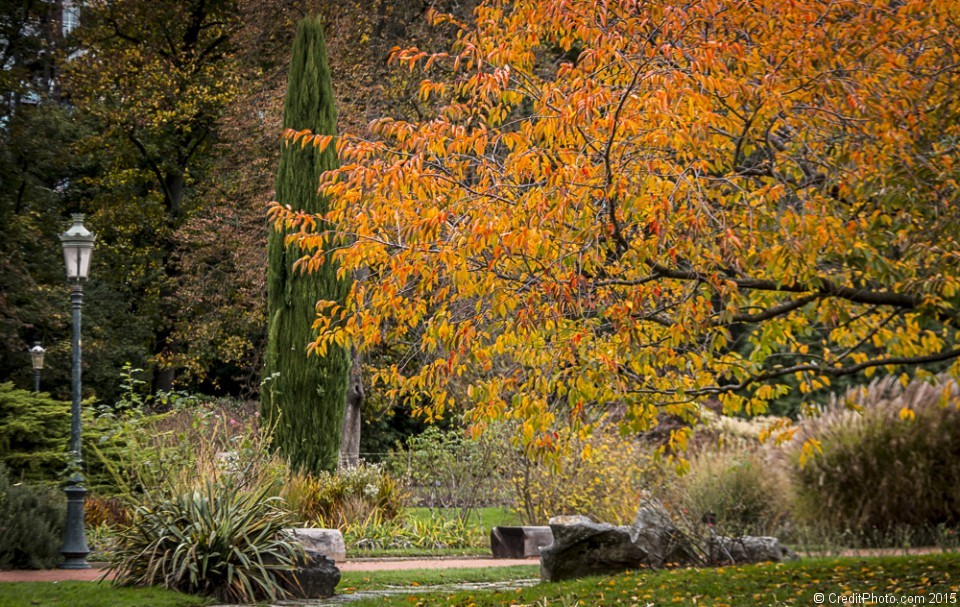 Le Parc de la Tête d’Or s’habille de ses couleurs d’automne