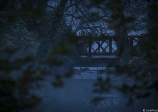Pont au Parc Tête d’Or