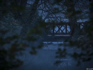 Pont au Parc Tête d’Or